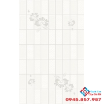 Gạch Viglacera 25x40 Q2541