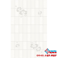 Gạch Viglacera 25x40 Q2541
