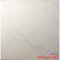 đá bóng kiếng 60x60 lát nền giá rẻ 08