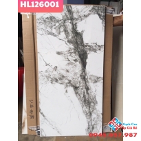 GẠCH BÓNG KIẾNG 60X120 MÃ 126001