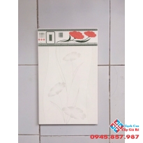 Gạch ốp tường 25x40 loại1giá rẻ