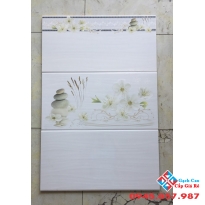 GẠCH ỐP TƯỜNG 30X60 (02)