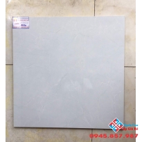 ĐÁ BÓNG KIẾNG 60X60 HOÀN MỸ 7053