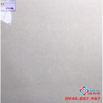 Gạch Lát Nền 60x60 Tasa STN6501