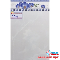 GẠCH ỐP TƯỜNG 30X45 PAK 30453