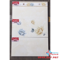 Gạch Ốp Tường 30X60 Tasa (11)