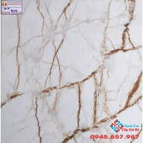 Đá Bóng Kiếng 60X60 PRIMER 9132