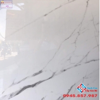 ĐÁ BÓNG KIẾNG 80X80 TP 054