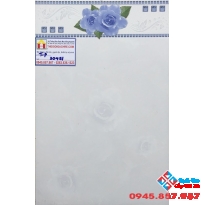 GẠCH ỐP TƯỜNG 30X45 PAK 30451c