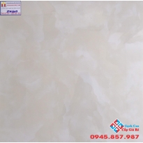 Gạch Lát Nền  60x60 Tasa STN6605