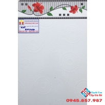 GẠCH ỐP TƯỜNG 30X45 MIKADO GM3460