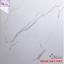 Gạch Lát Nền 60x60  Trắng Mây Tasa STN6503