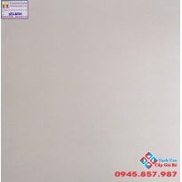 Gạch Lát Nền Đá Mờ 60x60 Tasa STN6531