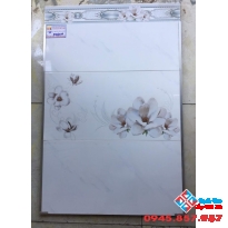 Gạch Ốp Tường 30X60  DIC D306028