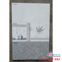 Gạch Ốp Tường 30X60 Tasa (2)