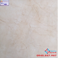 Đá Bóng Kiếng 60X60 PRIMER 9856