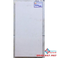 Gạch Ốp Tường 30X60 Taicera G63913