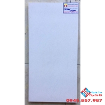 Gạch Ốp Tường 30X60 Taicera G63915