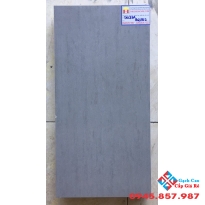 Gạch Ốp Tường 30X60 Taicera G63937