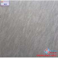 GẠCH CATALAN 60X60 MỜ 6950