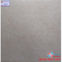 GẠCH CATALAN 60X60 MỜ 6952