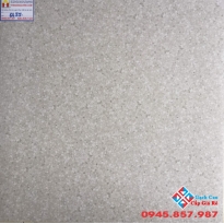 GẠCH CATALAN 60X60 MỜ 6655