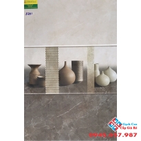Gạch Ốp Tường 30X60 Giá rẻ 5751