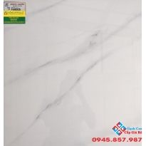 ĐÁ BÓNG KIẾNG 60X60 Ý MỸ F68005