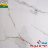 ĐÁ BÓNG KIẾNG 60X60 Ý MỸ F68002