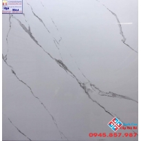 GẠCH GRANITE 60X60 GIÁ RẺ 9931