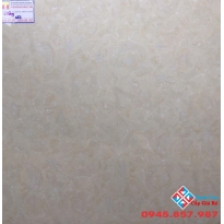 ĐÁ GRANITE 60X60 Á MỸ 653