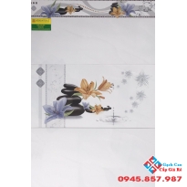 Gạch Ốp Tường 30X60 Giá rẻ Hoàng Hà 3