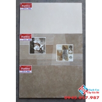 Gạch Ốp Tường 30X60 Tasa (6)