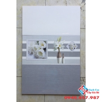 Gạch Ốp Tường 30X60 Giá rẻ (3)