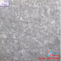 GẠCH LÁT NỀN GIÁ RẺ 60X60 NANO PHỦ BÓNG KIẾNG