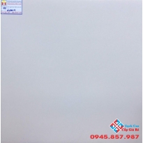 GẠCH 60X60 LÁT NỀN TAICERA G68034