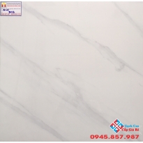 Đá Bóng Kiếng 60X60 PRIMER 9112