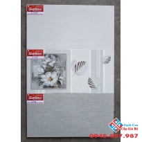 Gạch Ốp Tường 30X60 Tasa (7)