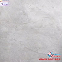 ĐÁ MỜ 60X60 Ý MỸ PG 65012C