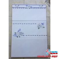 Gạch Ốp Tường 30X60 CMC (1)