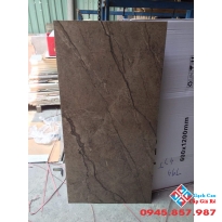Đá đồng chất 60x120 bóng kiếng