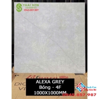 Gạch ốp lát 100x100 ấn độ cao cấp 