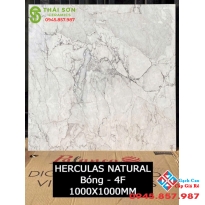 Gạch nhập khẩu 100x100 bóng kiếng cao cấp hcm