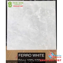 Gạch lát nền 100x100 ấn độ siêu bóng 