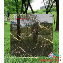 Gạch ốp lát takao 100x100 bóng kiếng cao cấp