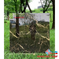 Gạch ốp lát takao 100x100 bóng kiếng cao cấp