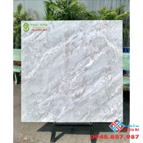 Gạch ốp lát cao cấp 100x100 bóng kiếng