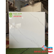 Gạch trung quốc đá đồng chất 100x100 khắc kim cao cấp