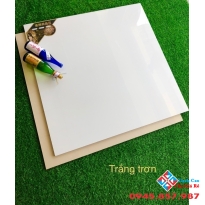 Gạch trắng trơn bóng kính toàn phần khổ lớn 100x100 cao cấp