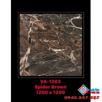 Gạch ốp lát ấn độ 120x120 cao cấp Q10